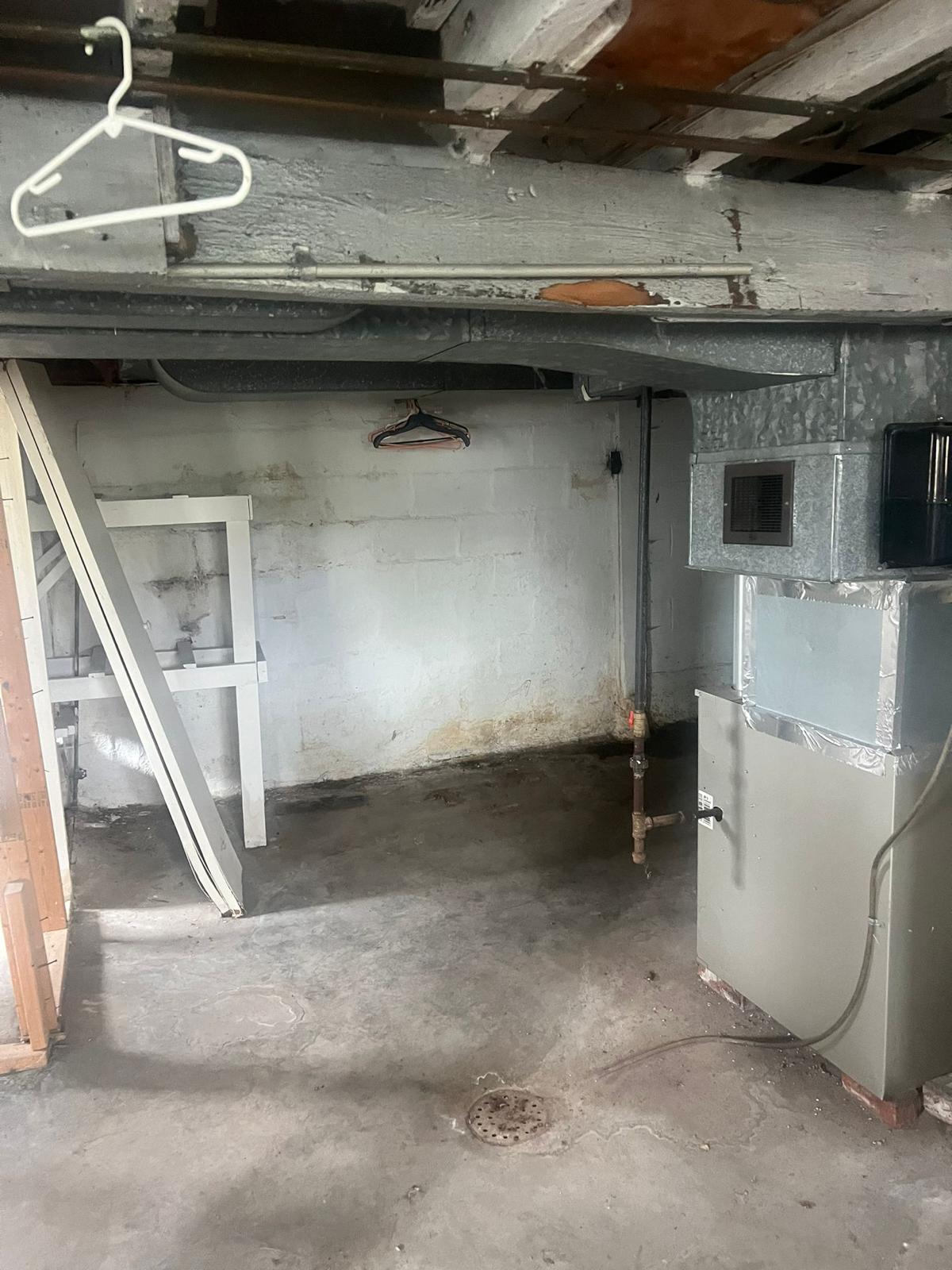 WhatsApp Image 2023-04-24 at 22.11.33 (1)