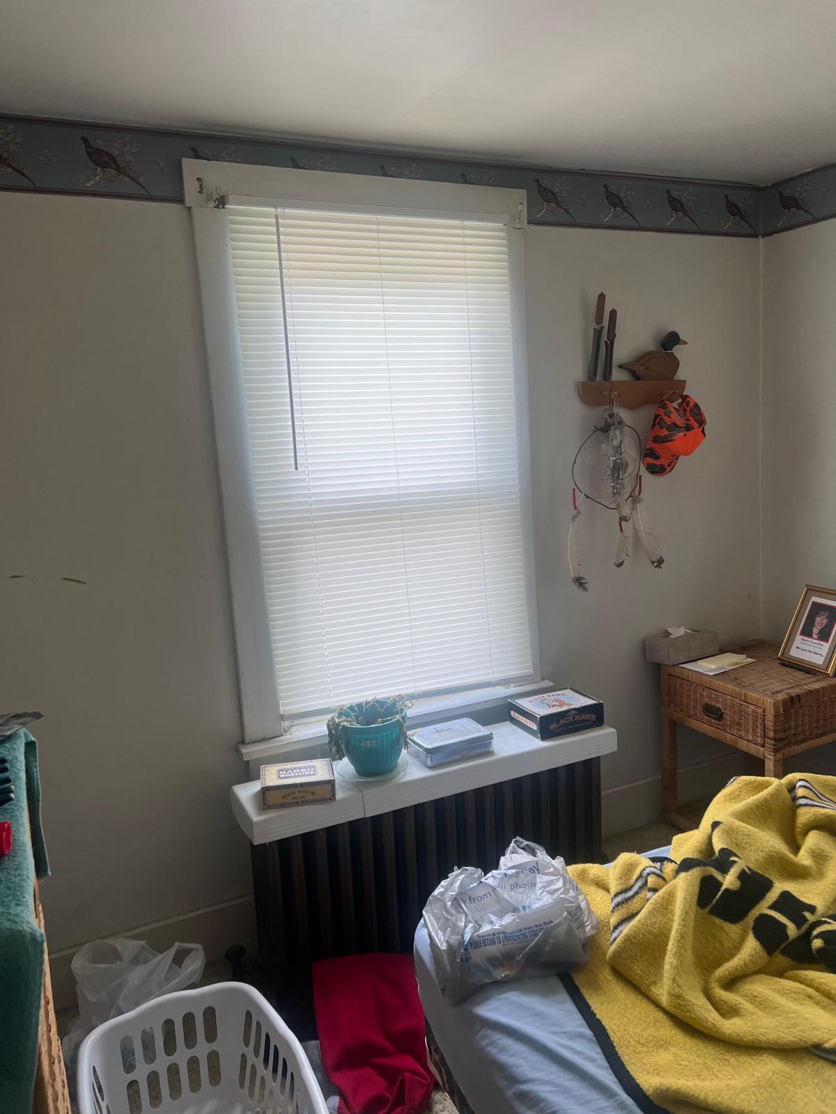 WhatsApp Image 2023-07-04 at 00.11.06 (1)